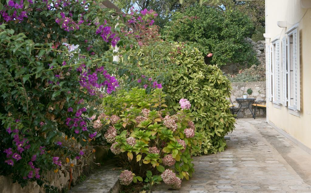 Villa Bona Dubrovnik Kültér fotó
