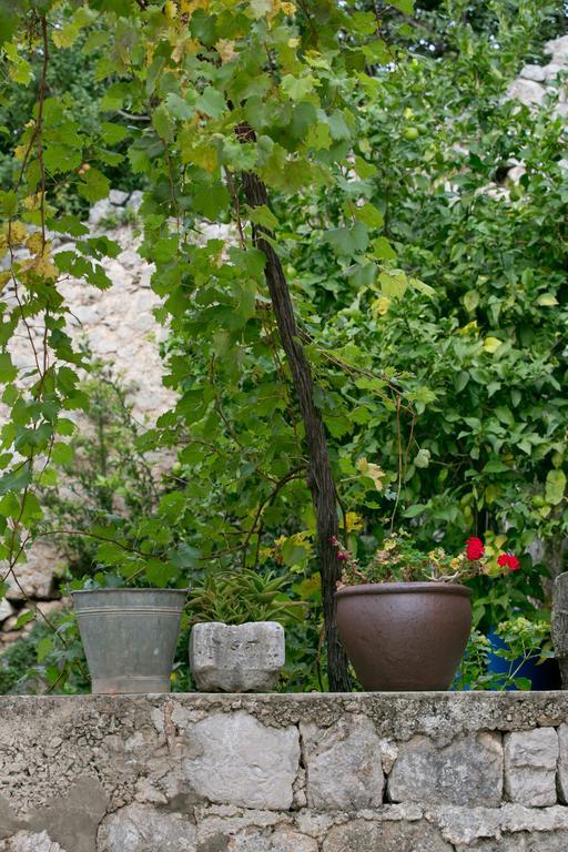 Villa Bona Dubrovnik Kültér fotó
